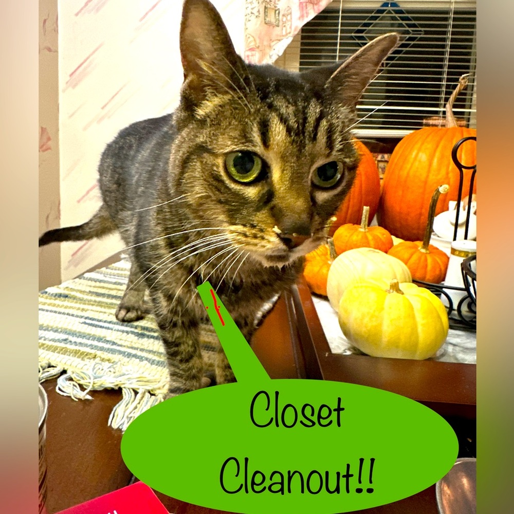 CLOSET CLEANOUT!!